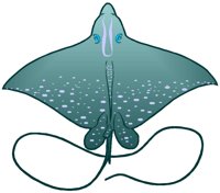 STINGRAY.BMP