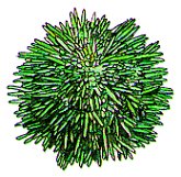 SEASPONG.BMP