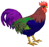 ROOSTER.BMP