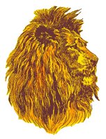 LIONHEAD.BMP