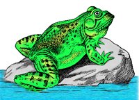 FROG.BMP