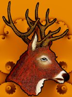 DEER.BMP