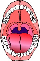 MOUTH.BMP