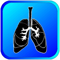 LUNGS.BMP