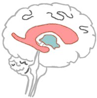 BRAIN1.BMP