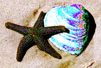 STRFISH2.BMP