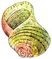 SHELL3.BMP