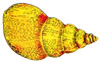 SHELL2.BMP
