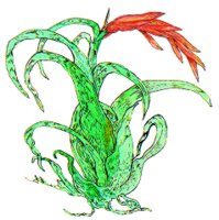 PLANT3.BMP