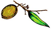 NUTLEAF.BMP