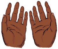 HANDS.BMP