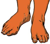 FEET.BMP