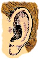 EAR.BMP