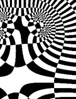 ZEBRSWRL.BMP