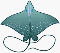 STINGRAY.BMP