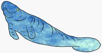 MANATEE.BMP