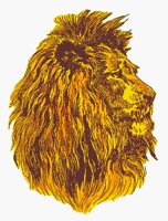 LIONHEAD.BMP