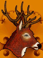 DEER.BMP