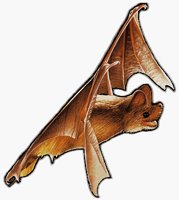 BAT.BMP