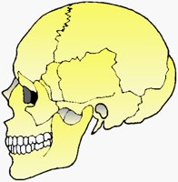 SKULL.BMP