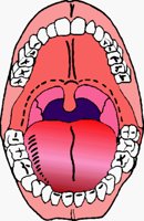 MOUTH.BMP