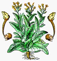 TOBACCO.BMP