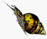 SHELL4.BMP