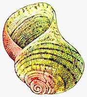 SHELL3.BMP
