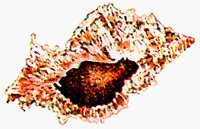 SHELL1.BMP