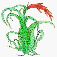 PLANT3.BMP