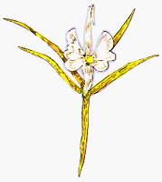 FLOWER2.BMP
