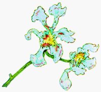 FLOWER1.BMP