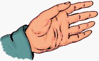 HAND.BMP