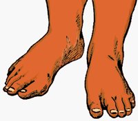 FEET.BMP