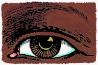 EYE2.BMP