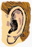 EAR.BMP