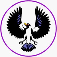 RAVEN.BMP