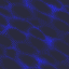 Dark148.bmp