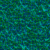 Dark041.bmp