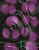 Dark037.bmp