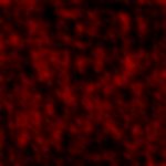 Dark033.bmp