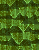 Dark005.bmp