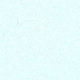 Ligh156.bmp