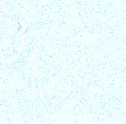 Ligh033.bmp
