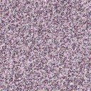 Misc136.bmp