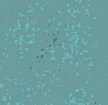 Misc121.bmp