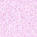 Misc104.bmp