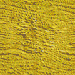 Misc096.bmp