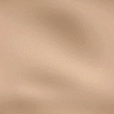 Misc076.bmp
