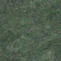 Misc021.bmp